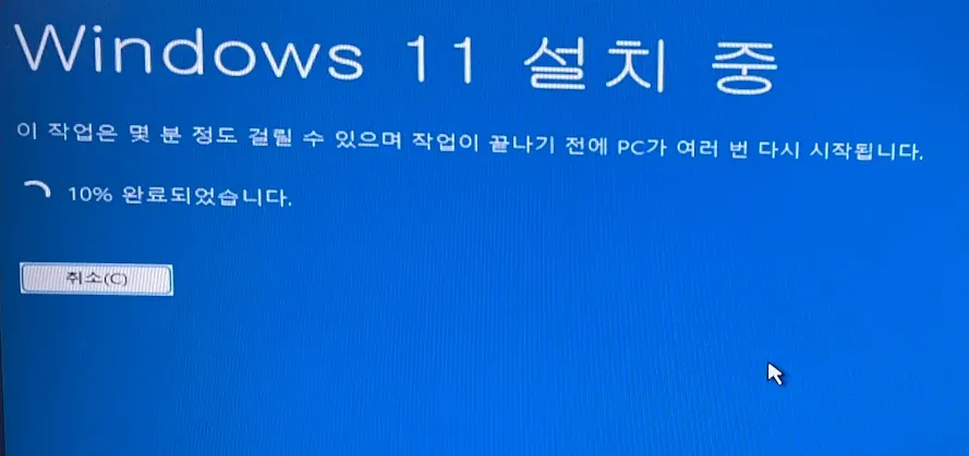 Windows 11 Installation
